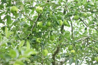 알 수 없음님의 작성글 사진