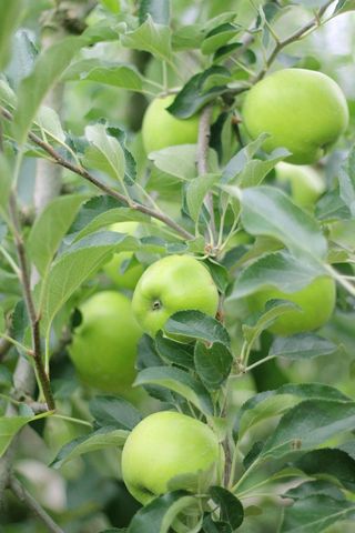 알 수 없음님의 작성글 사진