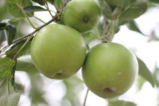 알 수 없음님의 작성글 사진