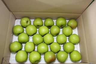 알 수 없음님의 작성글 사진