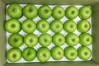 알 수 없음님의 작성글 사진