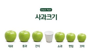 알 수 없음님의 작성글 사진