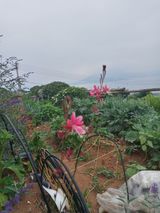 팜모닝 자유주제·자유게시판 게시글 이미지