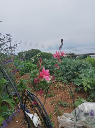 윤형곤님의 자유주제 · 자유게시판 작성글 사진