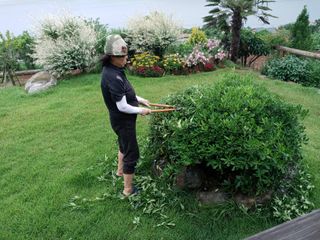 윤형곤님의 자유주제 · 자유게시판 작성글 사진