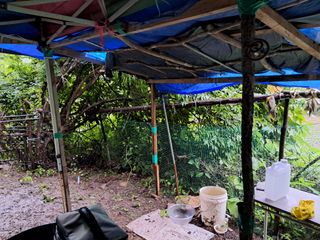 안창영님의 기타작물 · 영농일지 작성글 사진