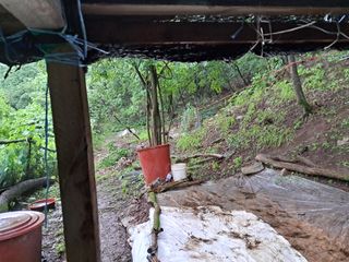 안창영님의 기타작물 · 영농일지 작성글 사진