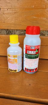 팜모닝 들깨·자유게시판 게시글 이미지