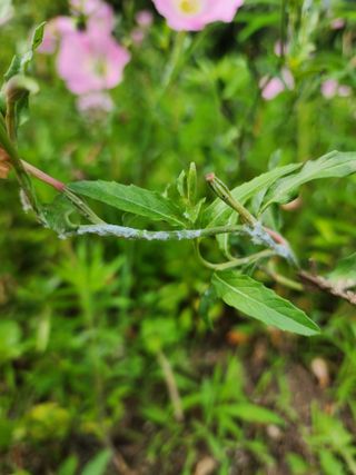까미네님의 자유주제 · 자유게시판 작성글 사진