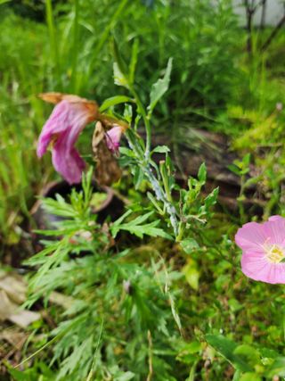 까미네님의 자유주제 · 자유게시판 작성글 사진