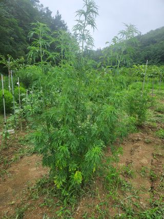 최율구님의 작성글 사진