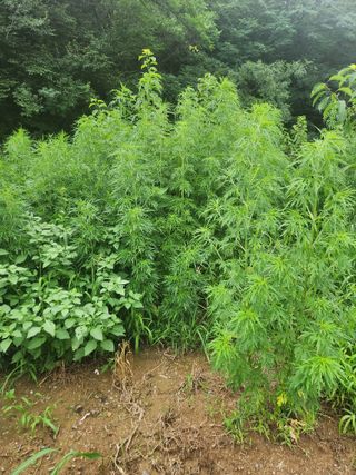 최율구님의 작성글 사진