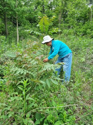 韓基學님의 최고의 제초제는 무엇인가요? · 참여 작성글 사진