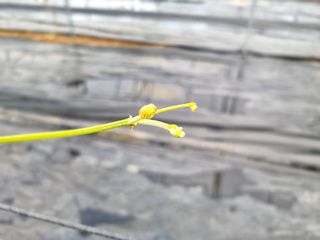 석나원님의 포도 · 자유게시판 작성글 사진