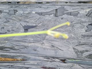 석나원님의 포도 · 자유게시판 작성글 사진