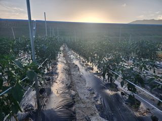 김창민님의 자유주제 · 자유게시판 작성글 사진