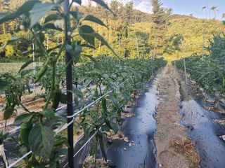 김창민님의 자유주제 · 자유게시판 작성글 사진