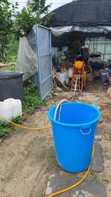 팜모닝 감·영농일지 게시글 이미지