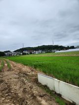 팜모닝 콩·영농일지 게시글 이미지