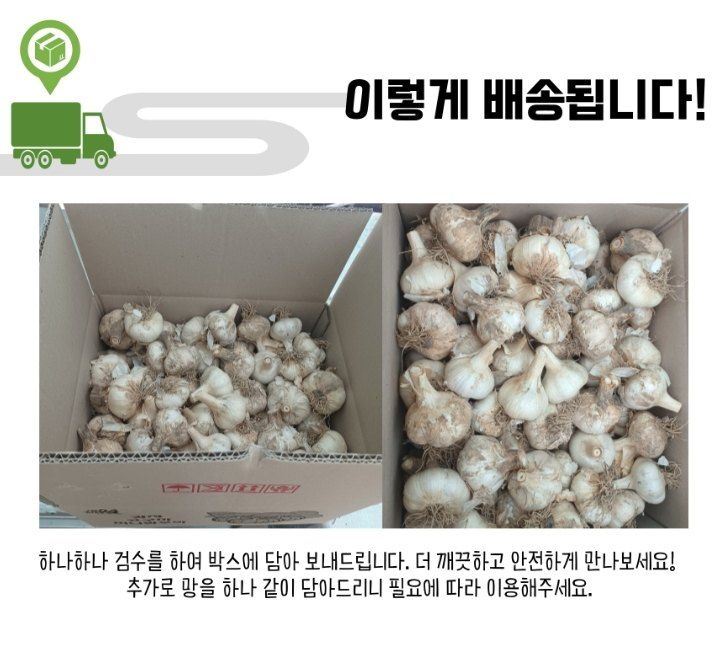 젊은농원 님의 장터 판매 상품 [홍산마늘 1접] 첨부 사진