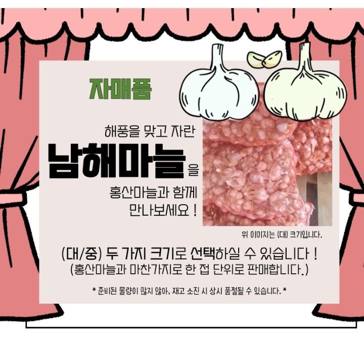 젊은농원 님의 장터 판매 상품 [홍산마늘 1접] 첨부 사진