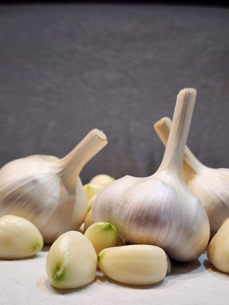 장터 상품 [홍산마늘 1접] 썸네일