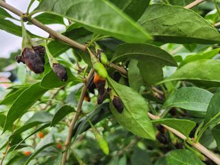 진주님의 자유주제 · 자유게시판 작성글 사진