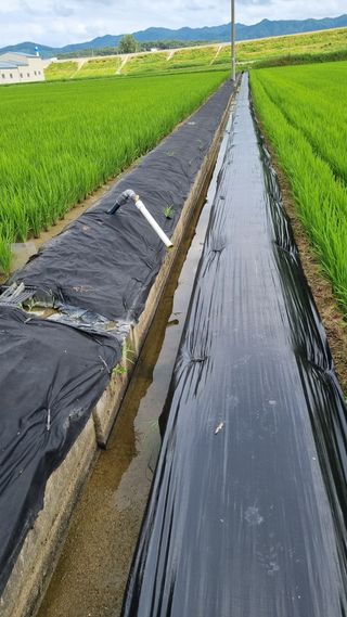김동회증평영농조합님의 최고의 제초제는 무엇인가요? · 참여 작성글 사진