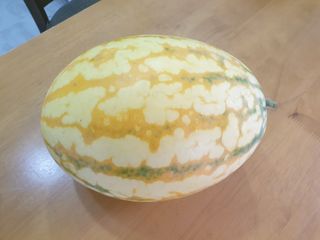 임병국(남리ㅡ림)님의 자유주제 · 자유게시판 작성글 사진