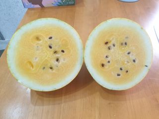 임병국(남리ㅡ림)님의 자유주제 · 자유게시판 작성글 사진