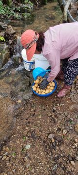 팜모닝 감자·영농일지 게시글 이미지