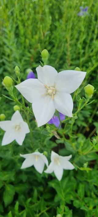 초월농원님의 자유주제 · 자유게시판 작성글 사진