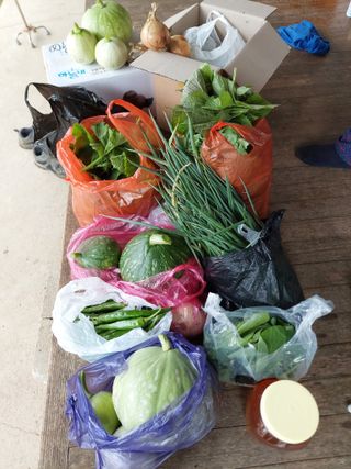 유병욱님의 자유주제 · 자유게시판 작성글 사진