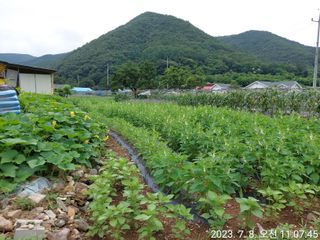 유병욱님의 자유주제 · 자유게시판 작성글 사진