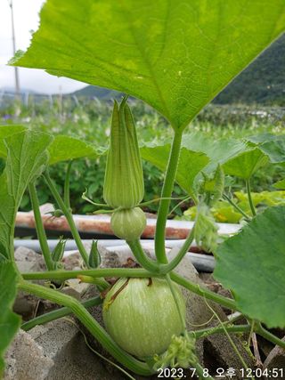 유병욱님의 자유주제 · 자유게시판 작성글 사진