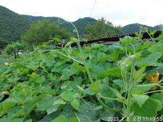 유병욱님의 자유주제 · 자유게시판 작성글 사진