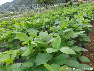 유병욱님의 자유주제 · 자유게시판 작성글 사진