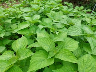 유병욱님의 자유주제 · 자유게시판 작성글 사진