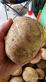 팜모닝 · 게시글 이미지