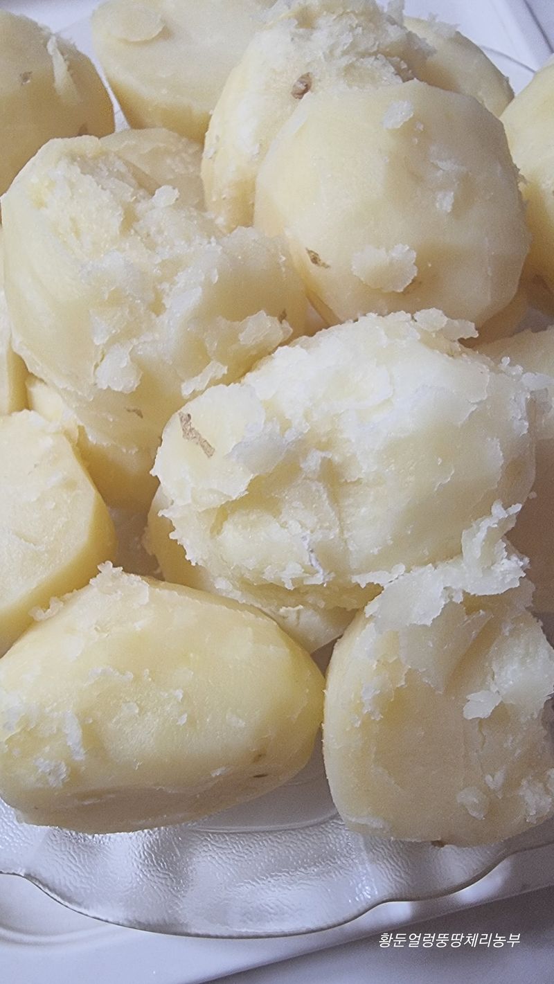 황둔얼렁뚱땅체리농부님의 장터 판매 상품 [설봉 감자 10kg, 20kg 판매] 첨부 사진