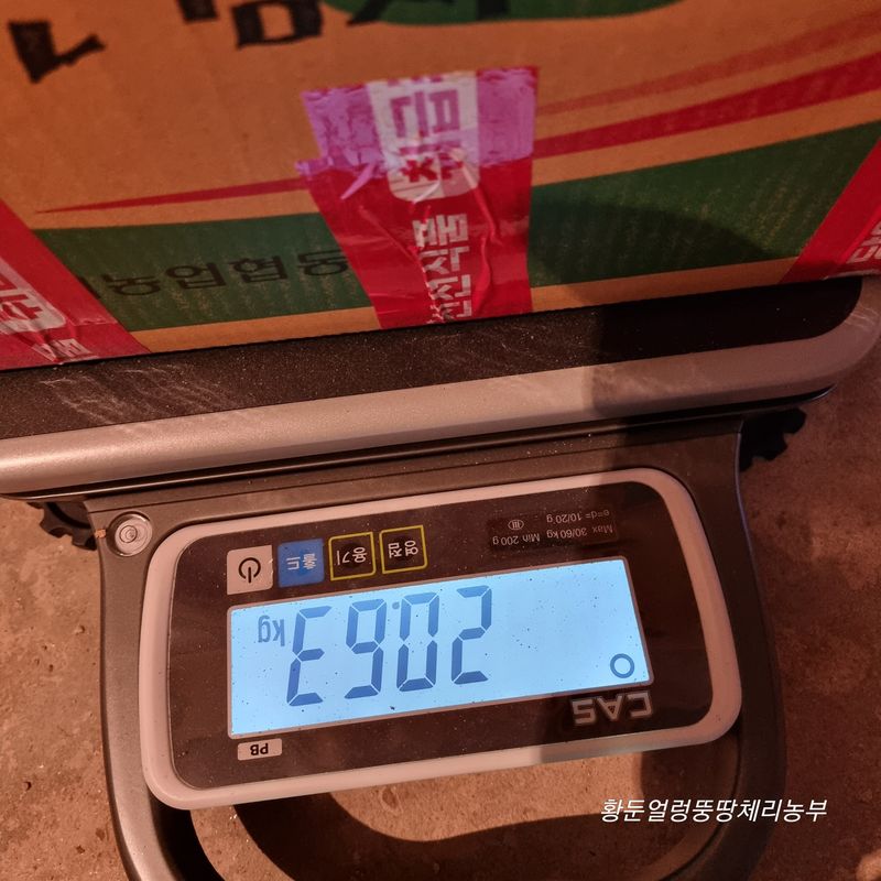 황둔얼렁뚱땅체리농부님의 장터 판매 상품 [설봉 감자 10kg, 20kg(완판)/판매종료] 첨부 사진