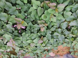 성주 농업인님의 자유주제 · 자유게시판 작성글 사진