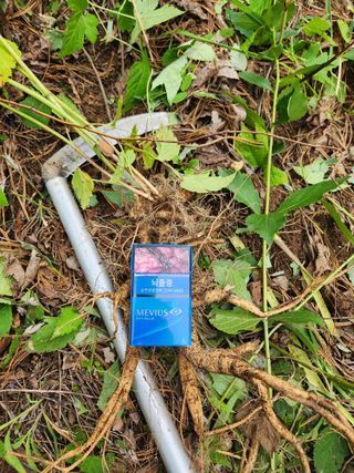 김영복님의 자유주제 · 자유게시판 작성글 사진