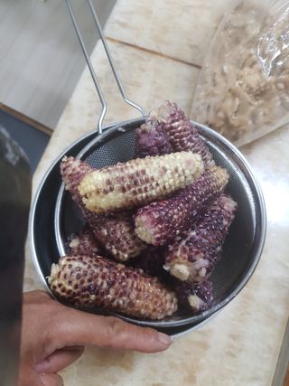 당근한개님의 기타작물 · 자유게시판 작성글 사진