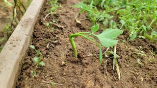 서초농원님의 농기계정보 · 정비•노하우 작성글 사진