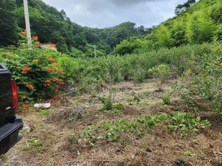 이덕수님의 고추 · 일상 작성글 사진