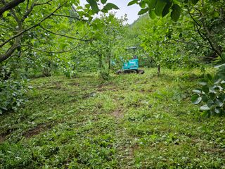 김성열님의 감 · 영농일지 작성글 사진