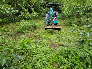 김성열님의 감 · 영농일지 작성글 사진