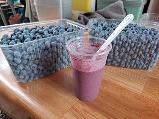 무지개블루베리농장 님의 블루베리 · 영농일지 작성글 사진