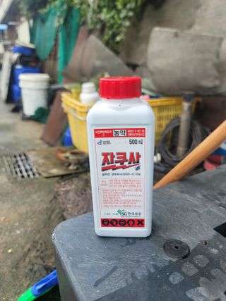 이석기님의 최고의 제초제는 무엇인가요? · 참여 작성글 사진